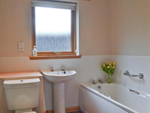 a bathroom with a sink and a toilet and a window at Cotterton Beag in Nethy Bridge