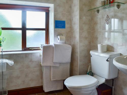 a bathroom with a toilet and a sink and a window at Llofft Yr Yd - 16984 in Brynsiencyn