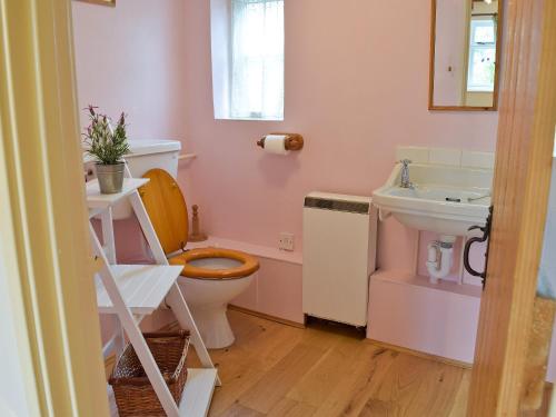 a bathroom with a toilet and a sink at Three Ash Cottage in Bungay
