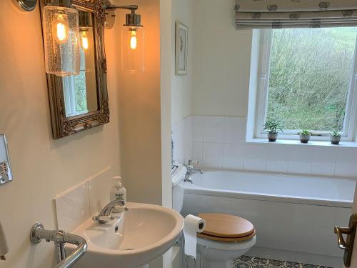 a bathroom with a sink and a toilet and a tub at Dipper in Malham