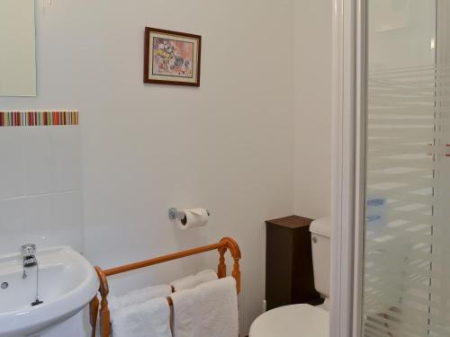 a bathroom with a toilet and a sink and a shower at Pond Cottage in Peasmarsh