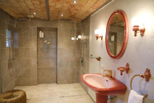 y baño con ducha, lavabo y espejo. en Porshus Ferielejlighed, en Sundstrup