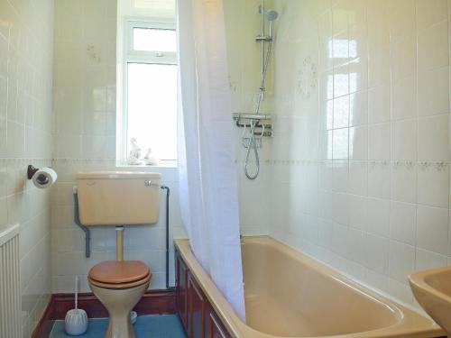 a bathroom with a tub and a toilet and a sink at Steep Holm in Kington