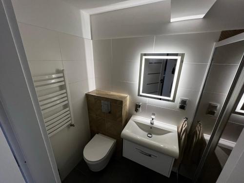 a bathroom with a sink and a toilet and a mirror at Pokoje gościnne BROKAT in Szczyrk