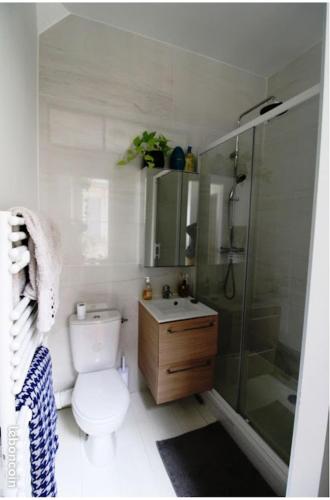 a bathroom with a toilet and a shower and a sink at Chez Samuel à Dieppe in Dieppe