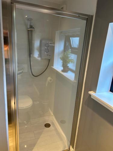 a shower stall with a toilet and a plant in it at 44 Inaclete Road in Stornoway