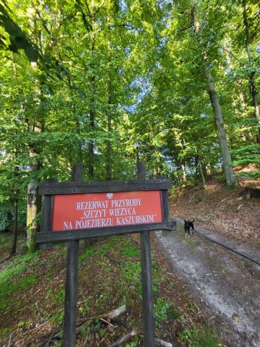 a sign in a park with a dog standing behind it at Jaśkowe Wzgórze domki na wynajem Szymbark, balia, Domek nr 2 i 3 in Szymbark