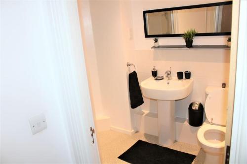 a bathroom with a sink and a toilet and a mirror at Luxury Apartment Close to Town Centre in Lexden
