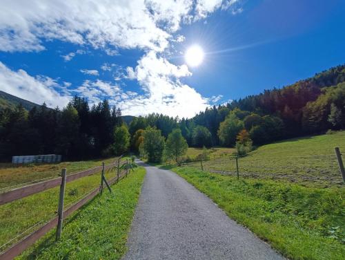 Příroda nedaleko apartmánu