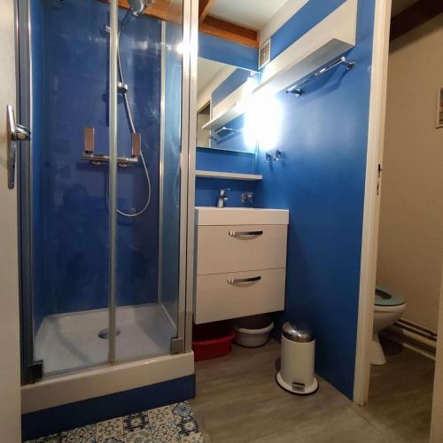 y baño azul con ducha y aseo. en Appartement cosy à quelques pas de la plage de la Rémigeasse en Dolus d'Oléron