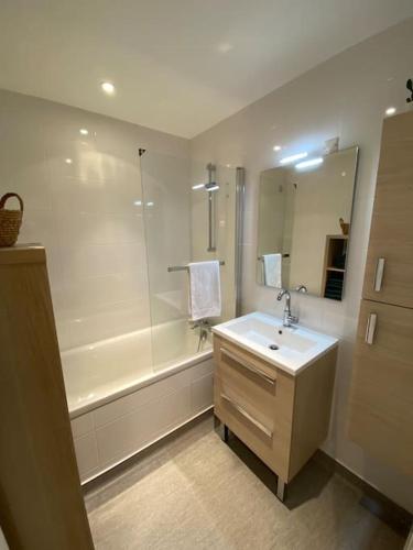 une salle de bain avec une douche, un lavabo et une baignoire dans l'établissement Le Lioran, La Sumène, Studio balcon tout confort aux pieds des pistes, à Laveissière