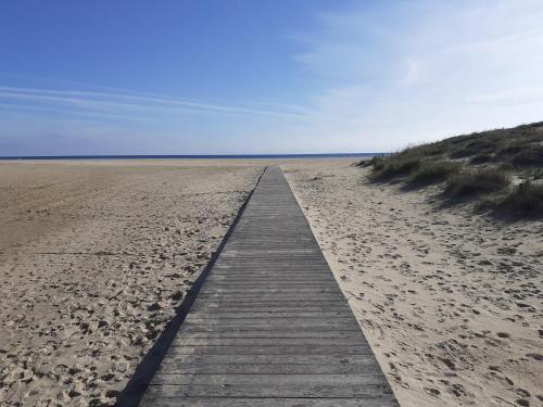 a wooden pathway through the sand on a beach at Ginestre38 in Pula