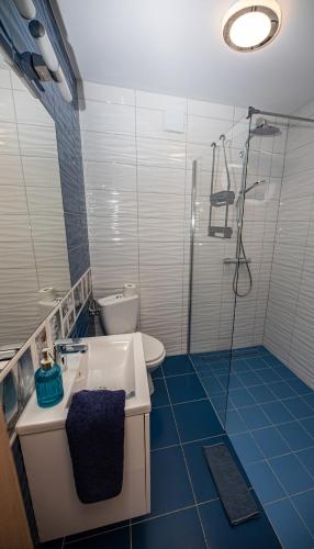 a bathroom with a shower and a sink and a toilet at Dom Wypoczynkowy Anna - opcjonalnie śniadania w Starej Piekarni in Kołobrzeg