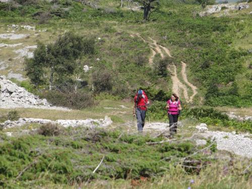 two people walking down a trail on a hill at Kents Bank Holiday - Pet Friendly with Bay Views in Grange Over Sands