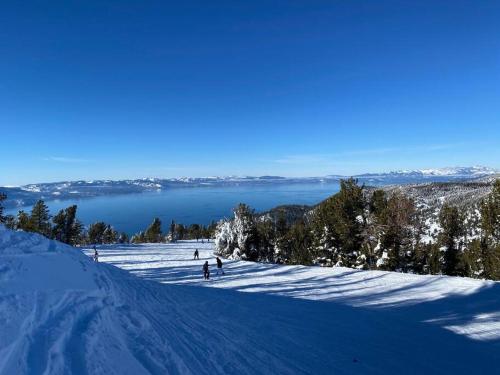 a group of people skiing down a snow covered slope at Ski In/Out - Zalanta - Great Location- 2 Hot Tubs - Heated Pool in South Lake Tahoe