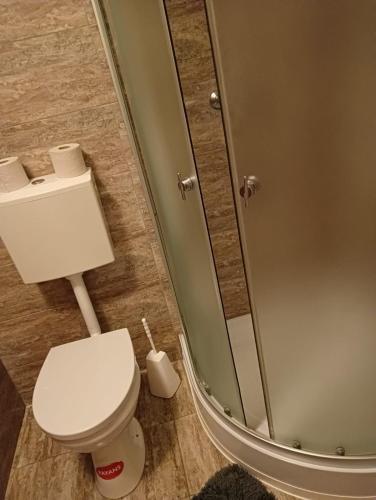 a bathroom with a white toilet and a shower at Stella's Monteurswohnungen in Crimmitschau