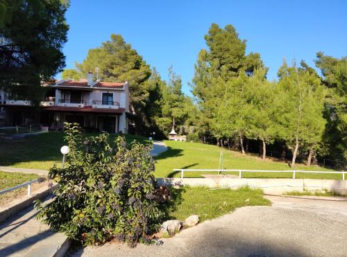 a house with a tree in front of it at High aesthetics maisonette in the wood by the sea in Metamorfosi