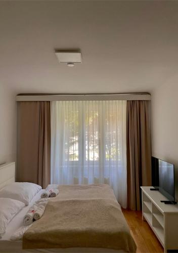 a bedroom with a bed and a tv and a window at Apartment Wien Mitte in Vienna