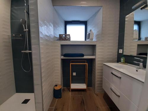 a bathroom with a shower and a sink at Chez Audrey et Etienne in Présailles