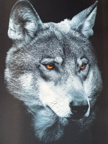 a drawing of a gray wolf with orange eyes at Apartmán Sivý vlk Hrebienok Rezort in Smokovce