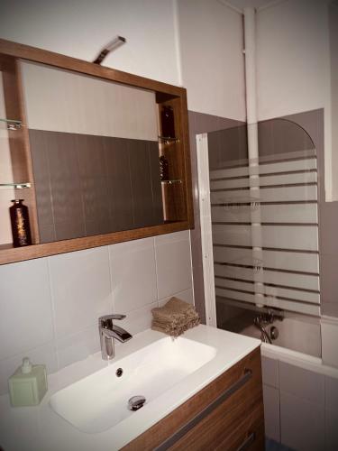 uma casa de banho com um lavatório e um espelho em Petit prince chambre à louer em Saint-Dié-des-Vosges