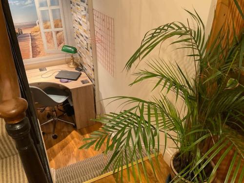 an office with a desk and a potted plant at Four-tunes just 2 mins walk from Torquay harbour in Torquay