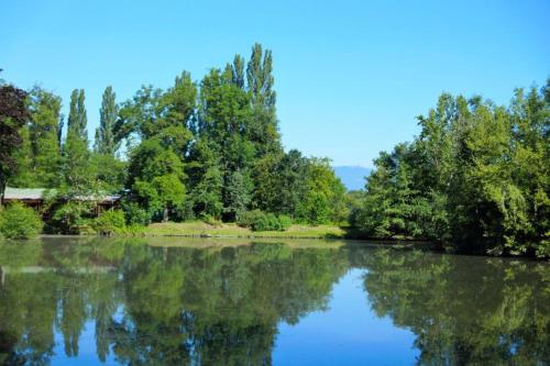 a body of water with trees in the background at Gîte, Maison indépendante "Chez Yvette et André" 2 à 6 pers, Ribeauvillé à 3 km, Colmar à 10 km in Guémar