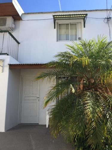 un palmier devant une maison blanche dans l'établissement Keila's Apartment, à Concordia