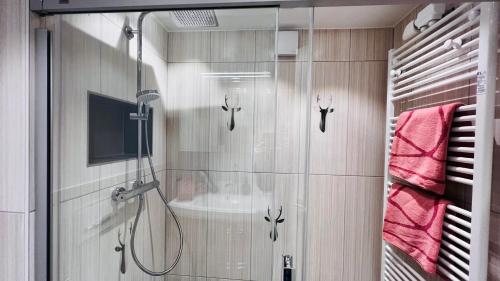 uma casa de banho com um chuveiro e uma porta de vidro em Alpenjuwel em Scheidegg