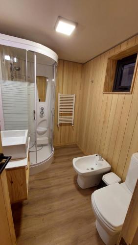 サン・マルティン・デ・ロス・アンデスにあるHermoso departamento 2 ambientes con amplio jardin en el centro de SMA. 6V5のトイレ、洗面台、シャワー付きのバスルーム