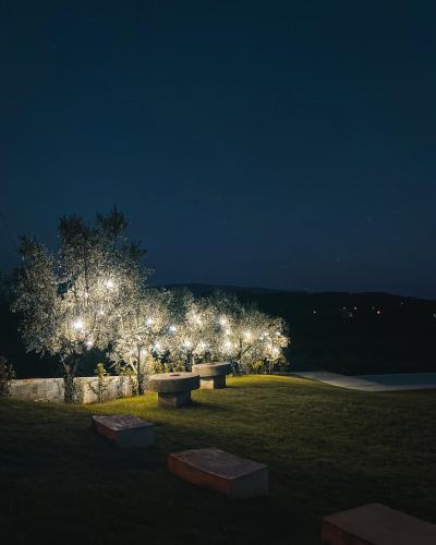 a row of benches in a park at night at Quinta Dona Iria in Miranda do Corvo
