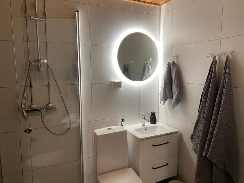 a bathroom with a shower and a sink and a mirror at Tammikon Tupa in Tuusula
