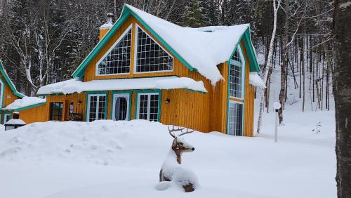 a house covered in snow in the woods at Domaine Rivière Sacacomie in Saint-Alexis-des-Monts