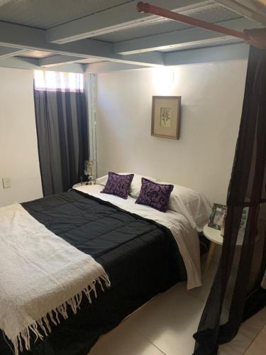 1 dormitorio con 1 cama grande con almohadas moradas en El Cerro en Posadas