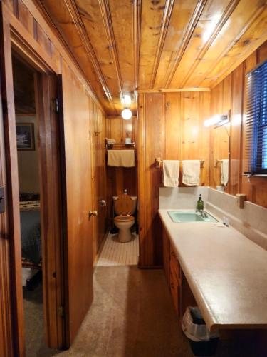 a bathroom with a sink and a toilet in it at Eagle Nest Fly Shack & Lodge in Eagle Nest