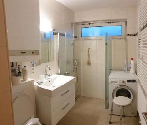 La salle de bains est pourvue d'un lavabo et d'un lave-linge. dans l'établissement Alpen Appart Bludenz City, à Bludenz