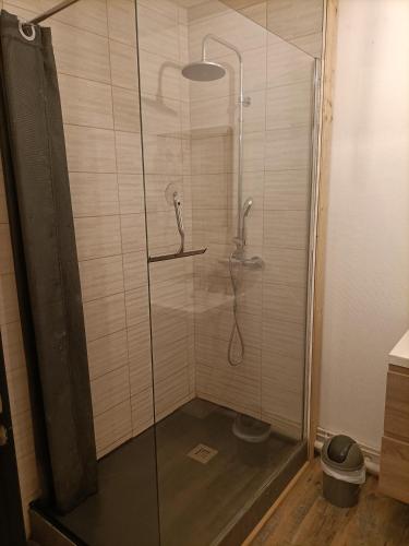 une douche avec une porte vitrée dans une salle de bain dans l'établissement Appartement très spacieux en plein cœur d'agen, à Agen