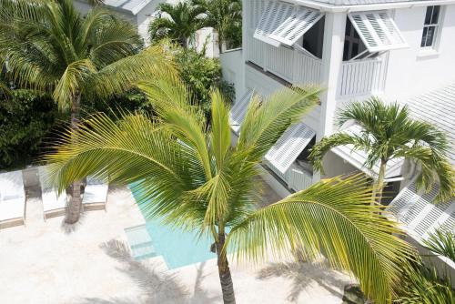 une vue sur un palmier à côté d'un bâtiment dans l'établissement Conch Shell Harbour Island home, à Harbour Island