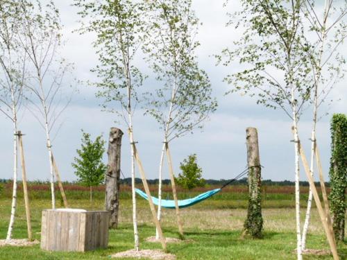 a blue hammock in a field between trees at Le Briou in Précy