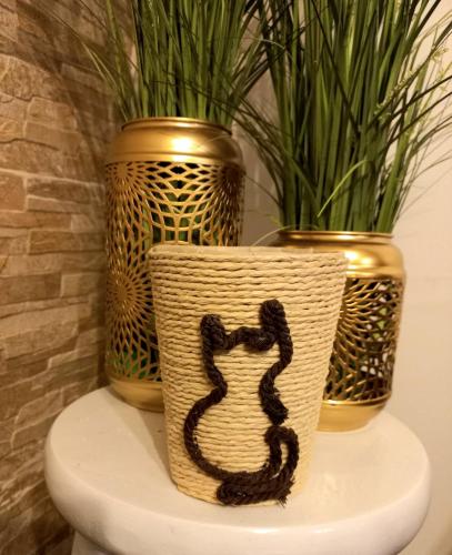 two vases sitting on top of a toilet at Inti aymara Arica in Arica