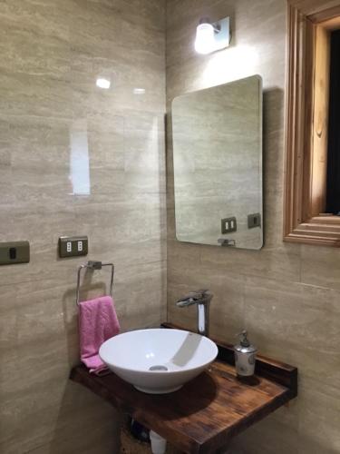 a bathroom with a white sink and a mirror at Hostal & Domos Bello Horizonte in Villarrica
