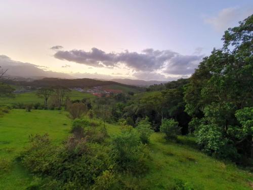 ein grünes Feld mit Bäumen in der Ferne in der Unterkunft Pousada Korb in Santo Amaro da Imperatriz