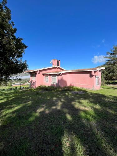 La rosadita – Photos 5
