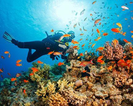 a person swimming over a coral reef with fish at Villa Granada Motril in Motril