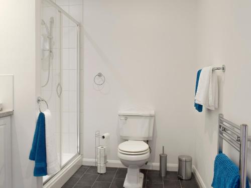 a white bathroom with a toilet and a shower at Barley Heights in Hapton
