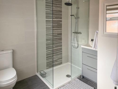 a bathroom with a shower and a toilet at Driftwood Cottage in Gorleston-on-Sea
