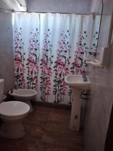 baño con 2 aseos y cortina de ducha en Las Violetas en San Rafael