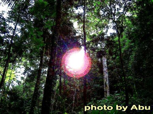 Lanta Natural Hut – Photos 2