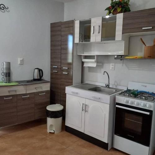 Kuhinja ili čajna kuhinja u objektu Hostal Jasmin