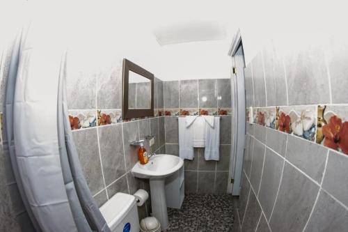 ein Bad mit einem Waschbecken, einem WC und einer Dusche in der Unterkunft Hostal Jasmin in Berlín